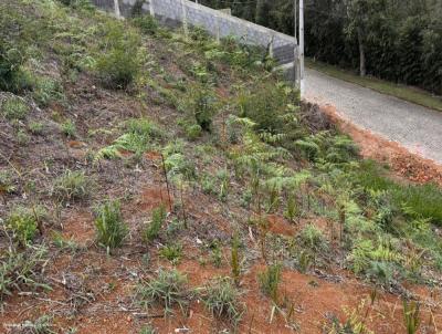 Terreno para Venda, em Teresópolis, bairro Prata